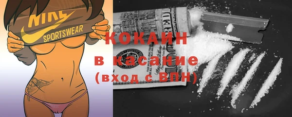 крисы Белокуриха