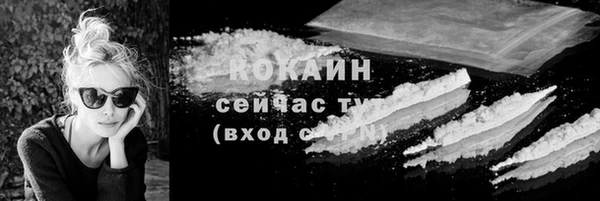 крисы Белокуриха