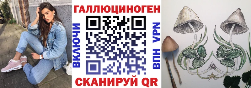 Купить где  Родники  Галлюциногенные грибы Cubensis 